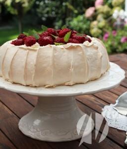 pavlova-sa-malinama-e162e56a2806756501ca163f9ebdd718_view_l