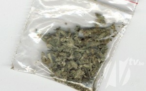 510x320_64012-Marihuana_u_kesici